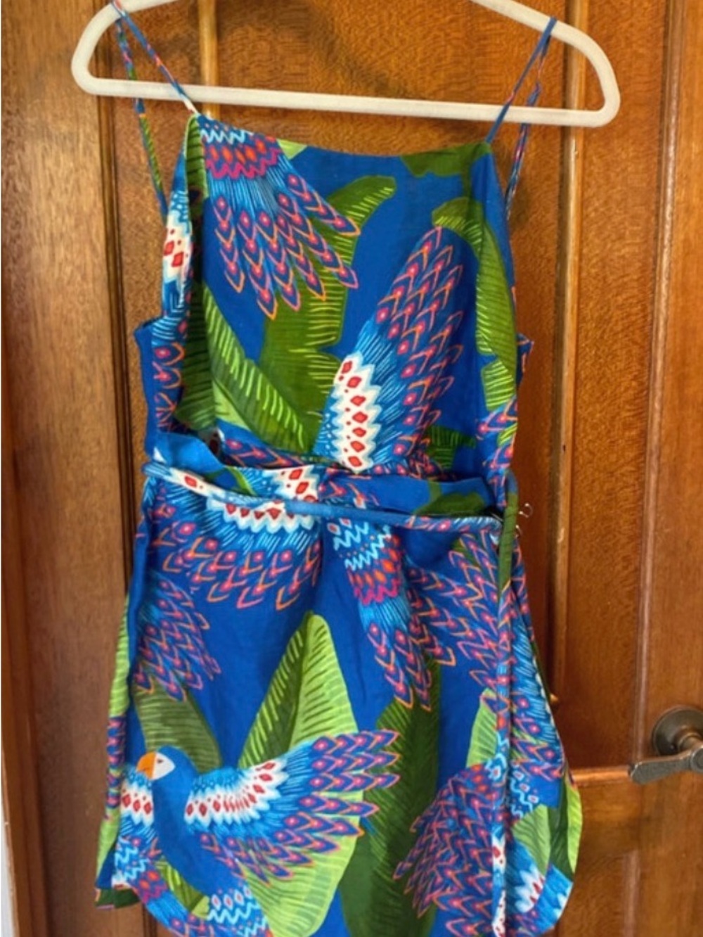 Farm Rio macaw dress